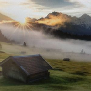 Meet your Posher, Emmett